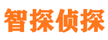 川汇侦探公司